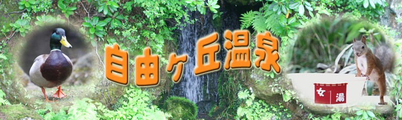 天然の湯　 自由ヶ丘温泉